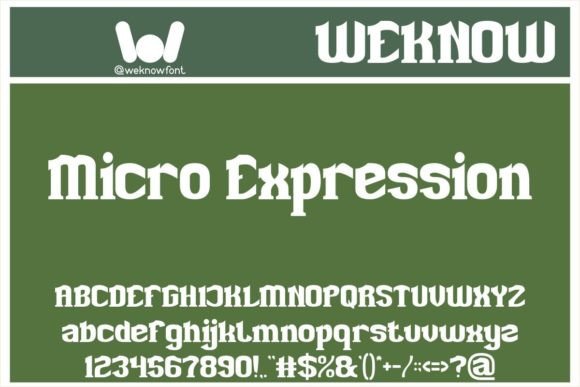 Micro Expression: A Slab Serif Font with Character